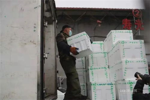 筑牢安全防线，守护城市“菜篮子”——探访哈尔滨龙园农产品批发市场保供稳价举措