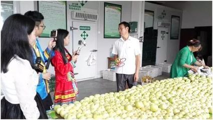 国务院倡导手机成农民“新农具” 数字化浪潮如何重塑农产品产销生态