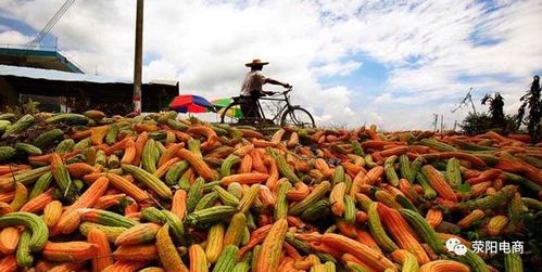 互联网浪潮下的新农道 农产品营销模式策略探析