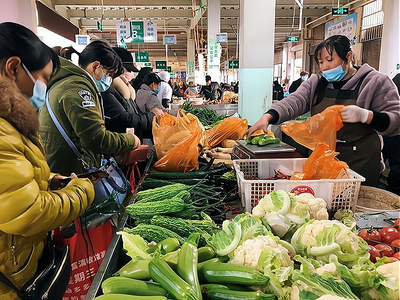 一亿投资蔬菜加工工厂 农产品销售背后的巨大盈利潜力解析