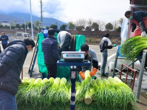 汉源县多措并举推进春季农产品销售和疫情防控两不误