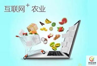 认养农业 破解农产品滞销的创新营销之道